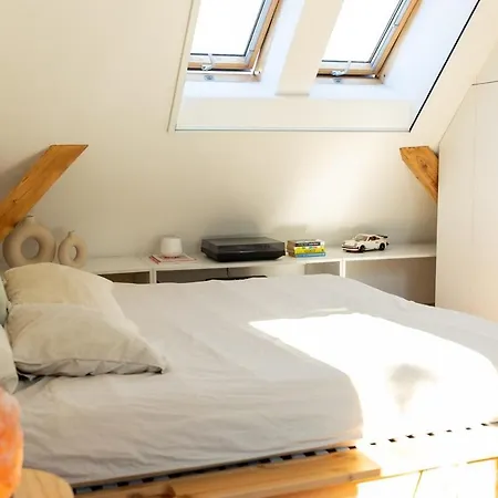 Romantic Loft With Terrace & Workspace ! Adamitt